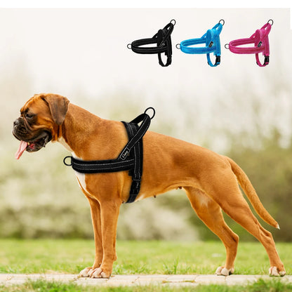 Reflective No-Pull Dog Harness