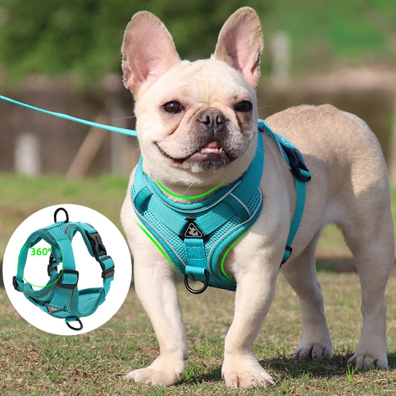 Adjustable Dog Harness & Leash Set