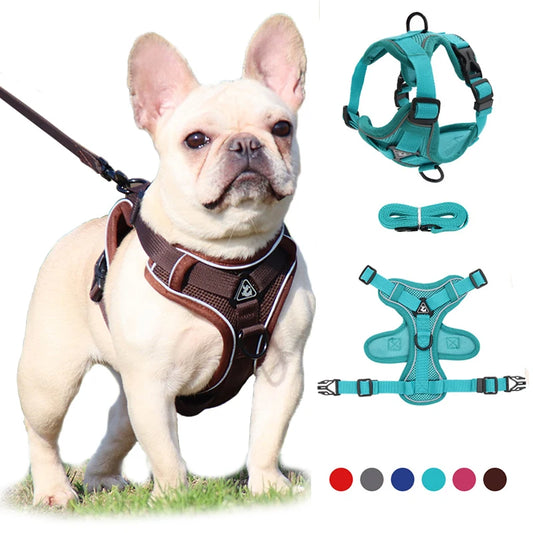 Adjustable Dog Harness & Leash Set