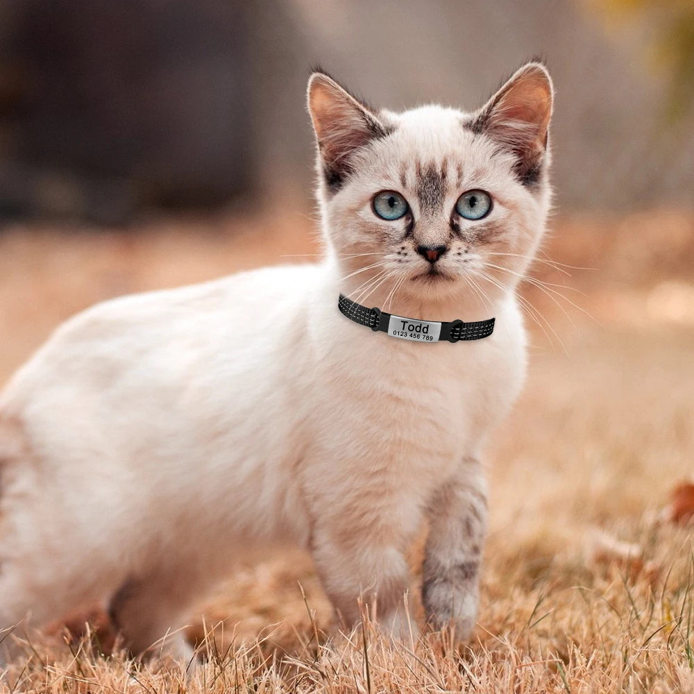 Personalized Cat Collar with ID Tag