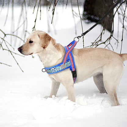 Winter Dog Harness