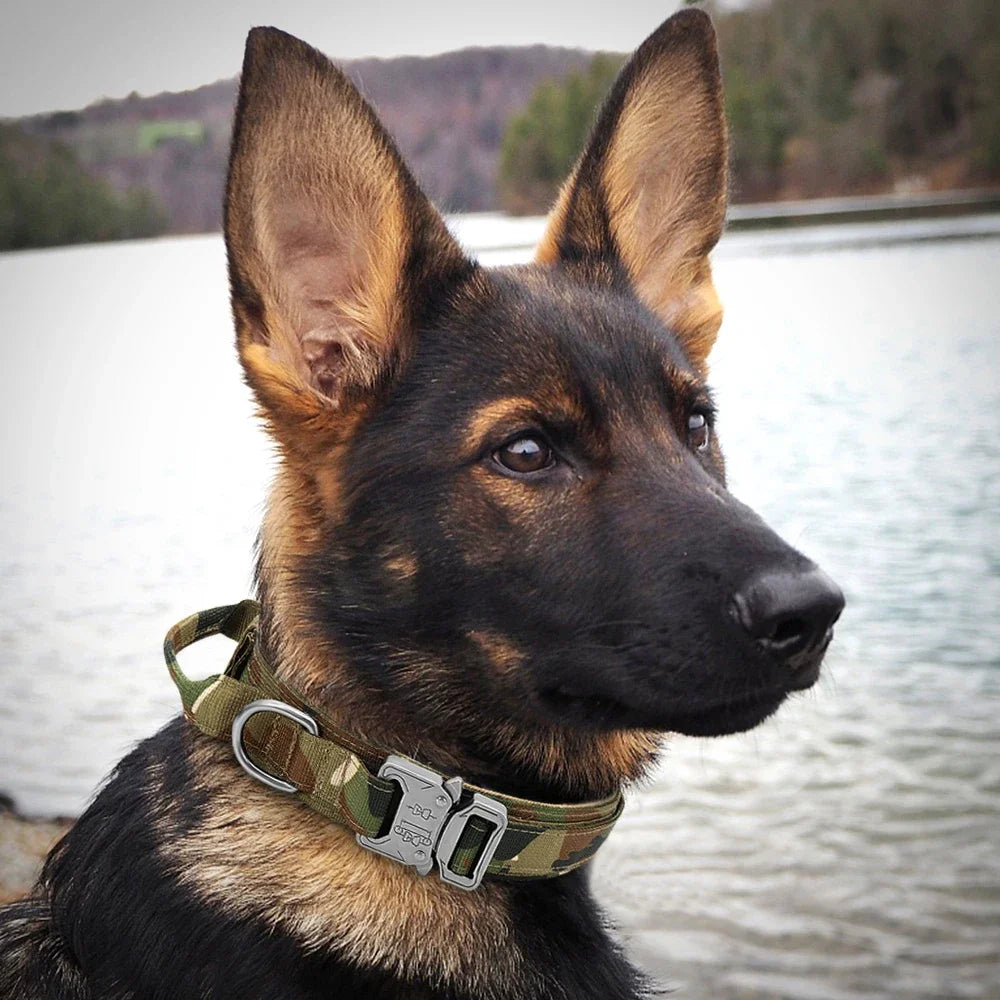 Tactical Dog Collar & Leash