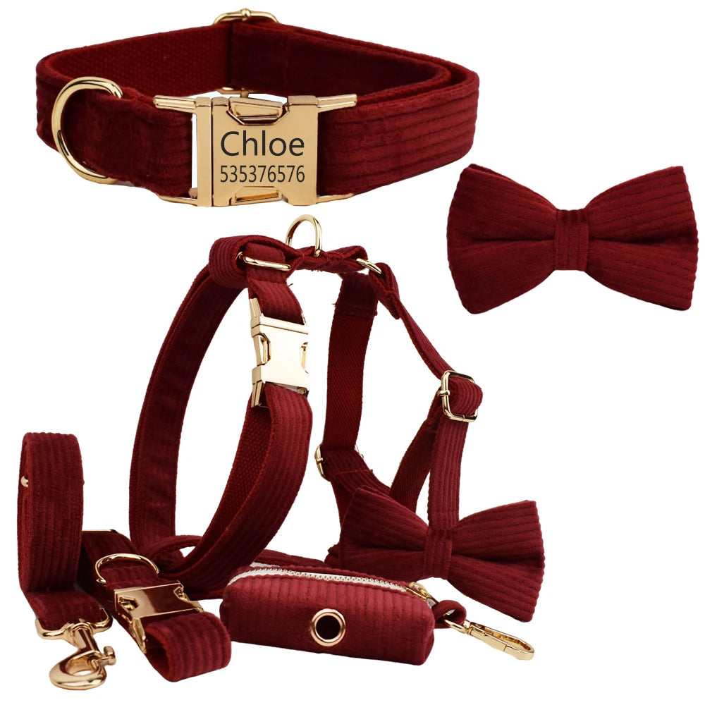 Personalized Dog Harness & Leash Set