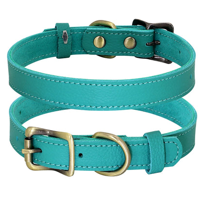 Soft Leather Dog Collar for Small Breeds