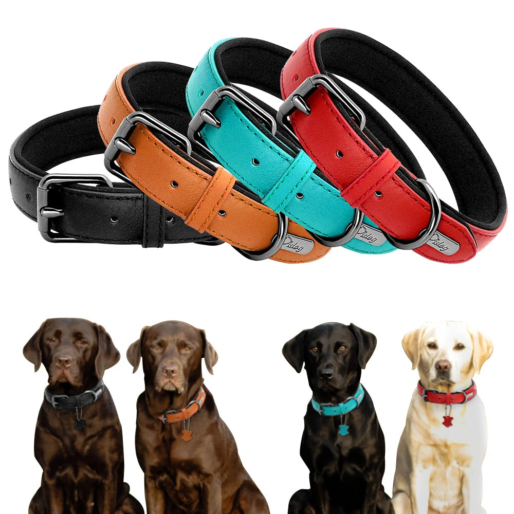 Personalized Leather Dog Collar