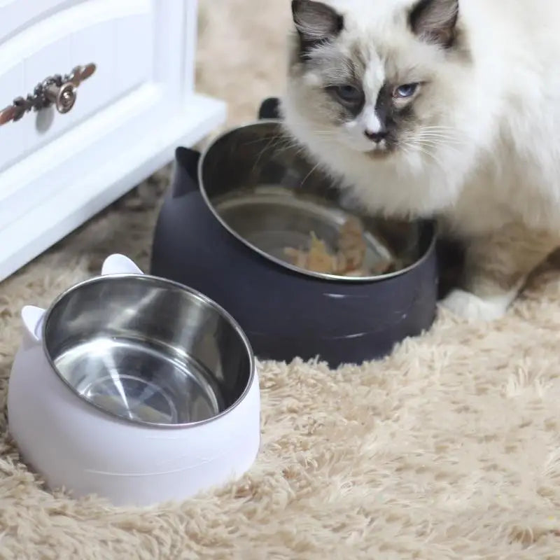 Elevated & Non-Slip Cat & Dog Bowl