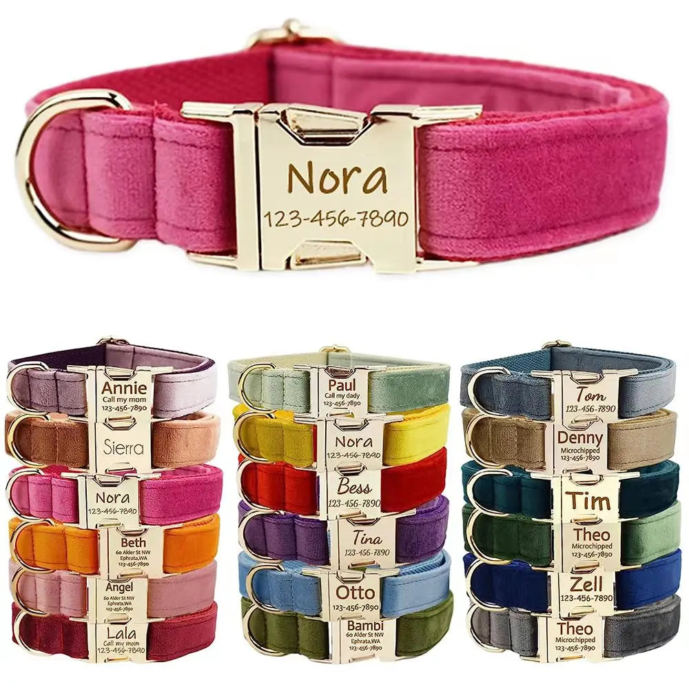 Personalized Velvet Dog Collar