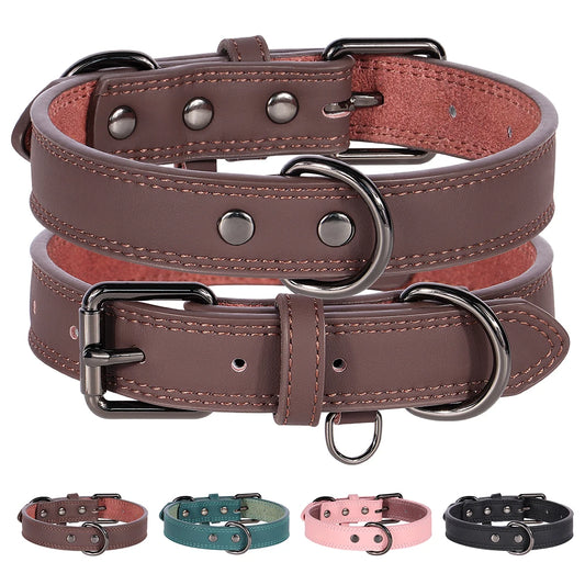 Personalized Leather Dog Collar