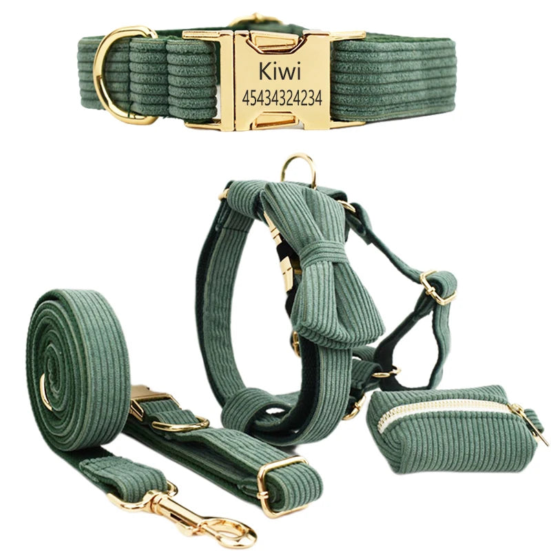 Personalized Dog Harness & Leash Set