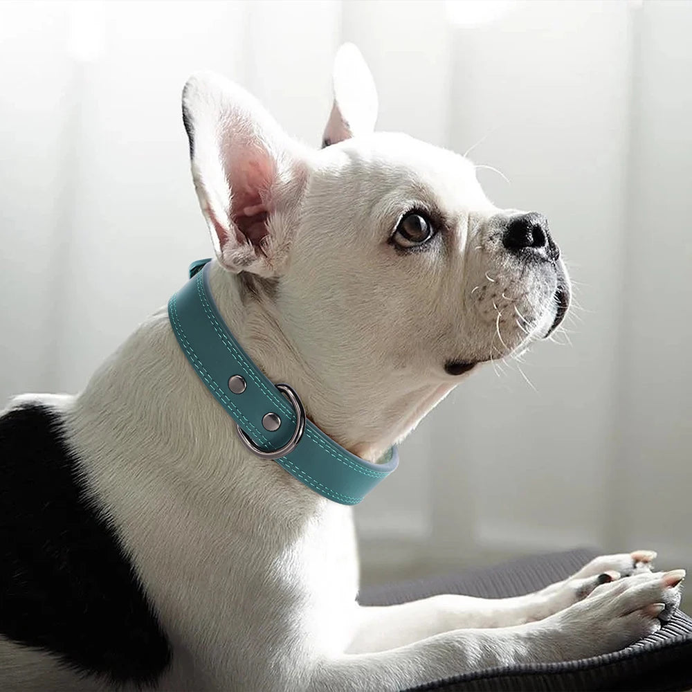 Personalized Leather Dog Collar