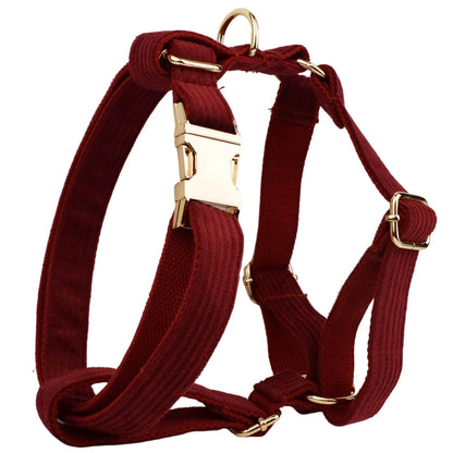 Personalized Dog Harness & Leash Set