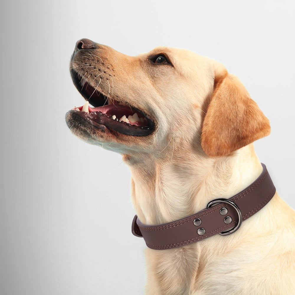 Personalized Leather Dog Collar