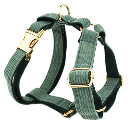 Personalized Dog Harness & Leash Set