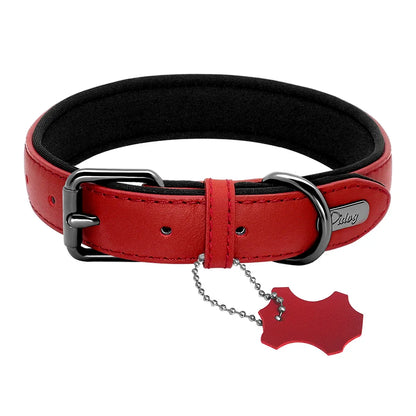 Personalized Leather Dog Collar