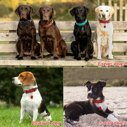 Personalized Leather Dog Collar