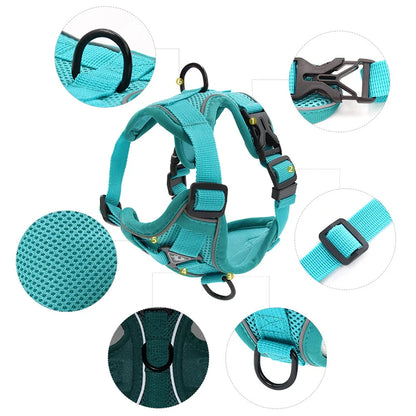 Adjustable Dog Harness & Leash Set