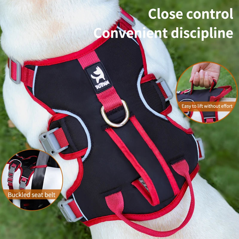 Comfort & Visibility for All Dogs