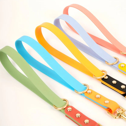 Waterproof Dog Leash