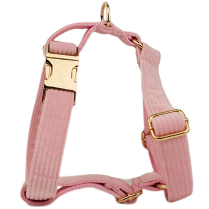 Personalized Dog Harness & Leash Set