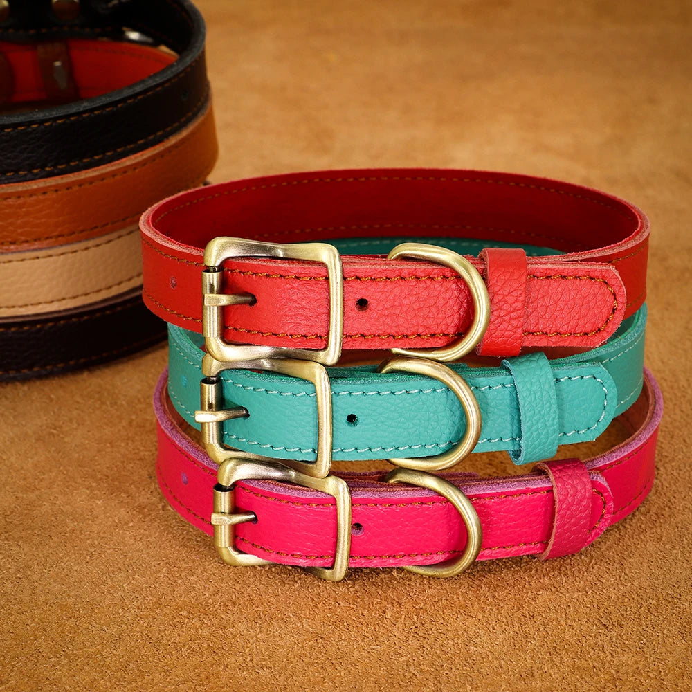 Soft Leather Dog Collar for Small Breeds