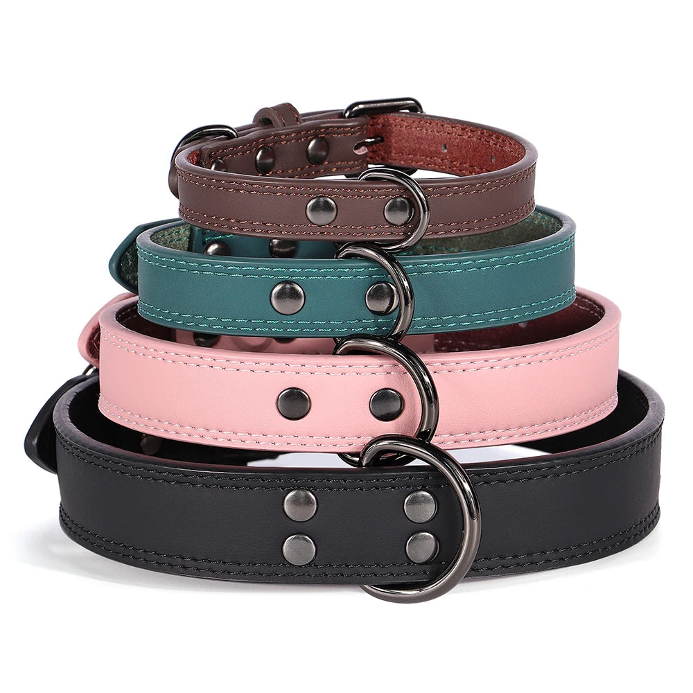 Personalized Leather Dog Collar