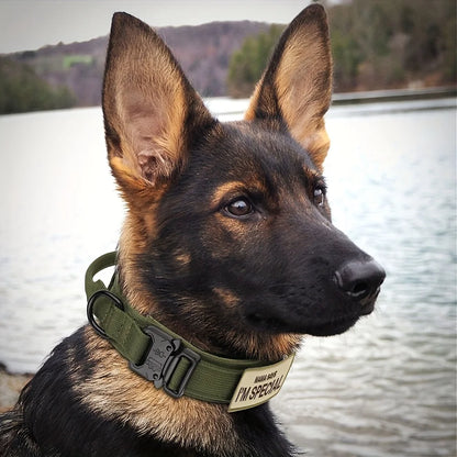 Tactical Dog Collar with Handle