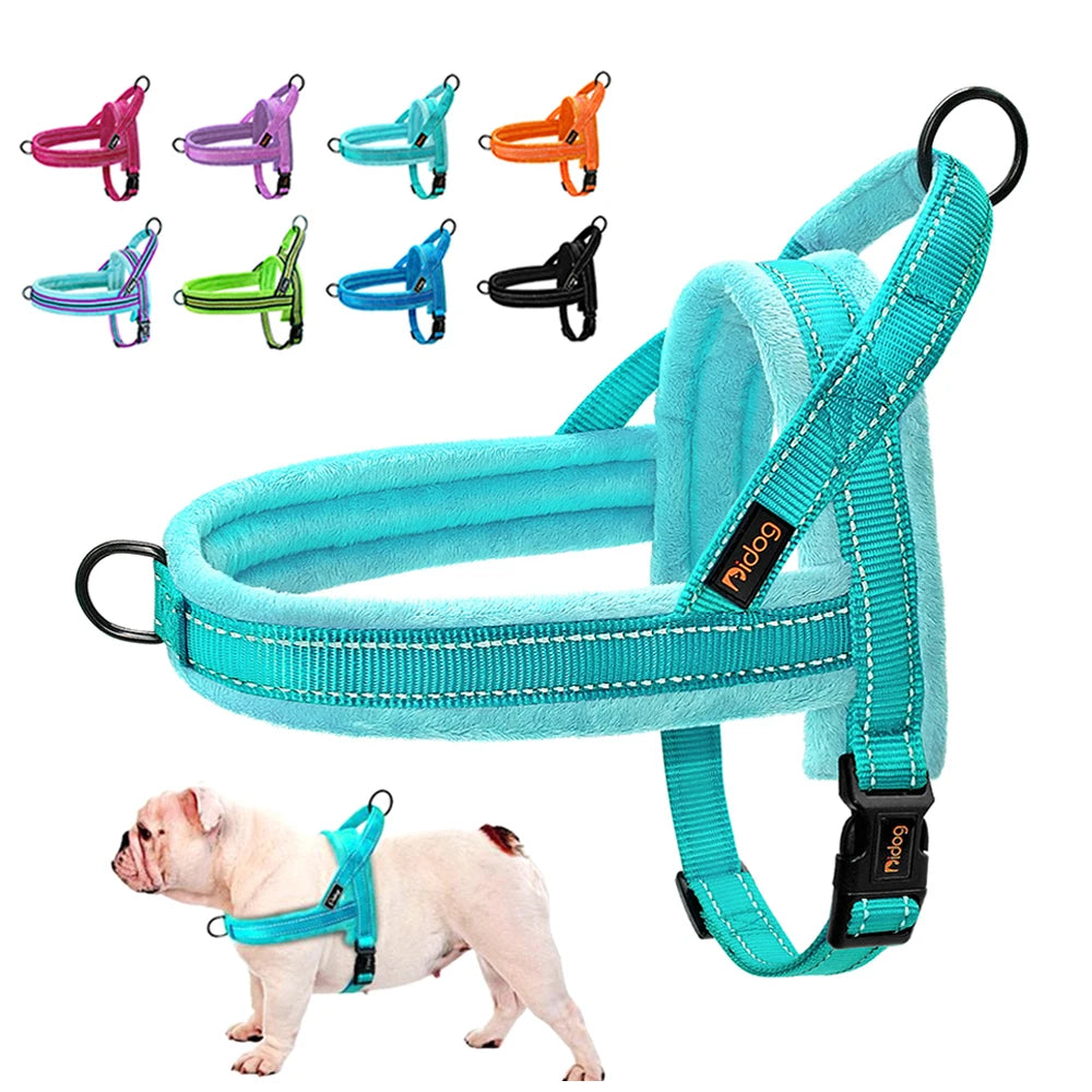 Winter Dog Harness