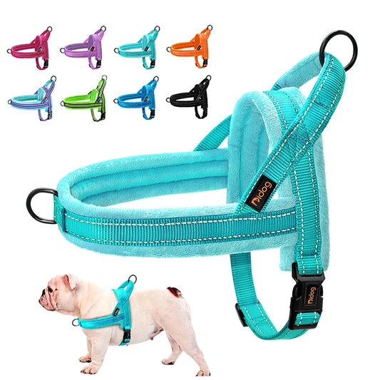 Winter Dog Harness