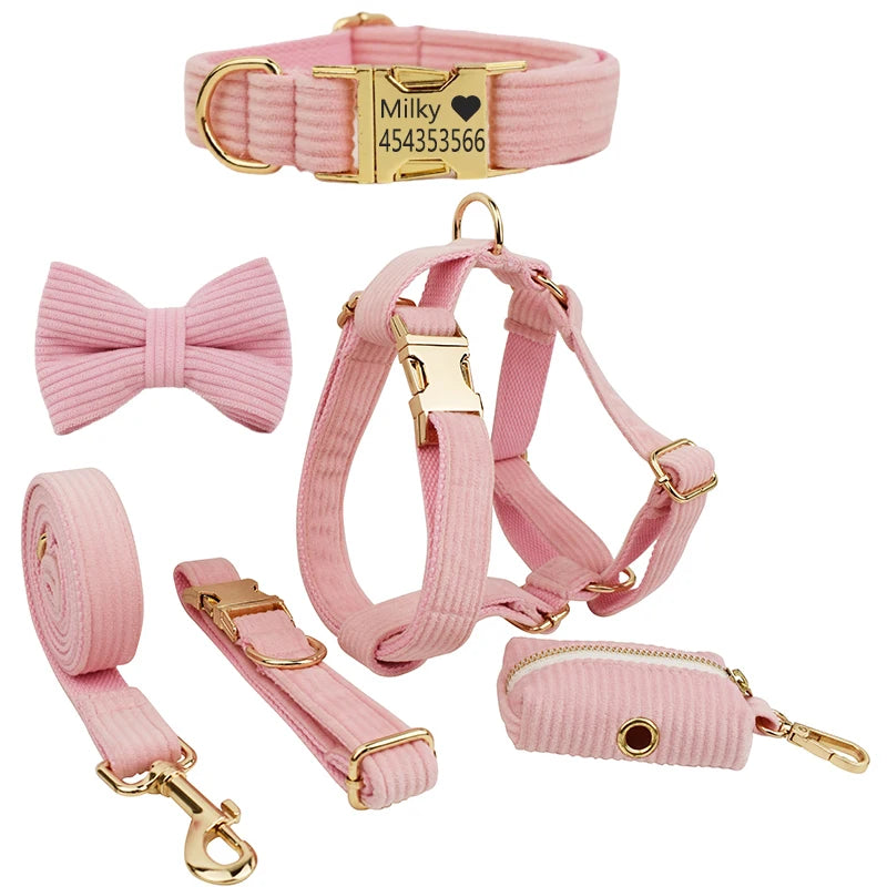 Personalized Dog Harness & Leash Set